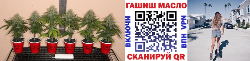 ТГК концентрат Афипский
